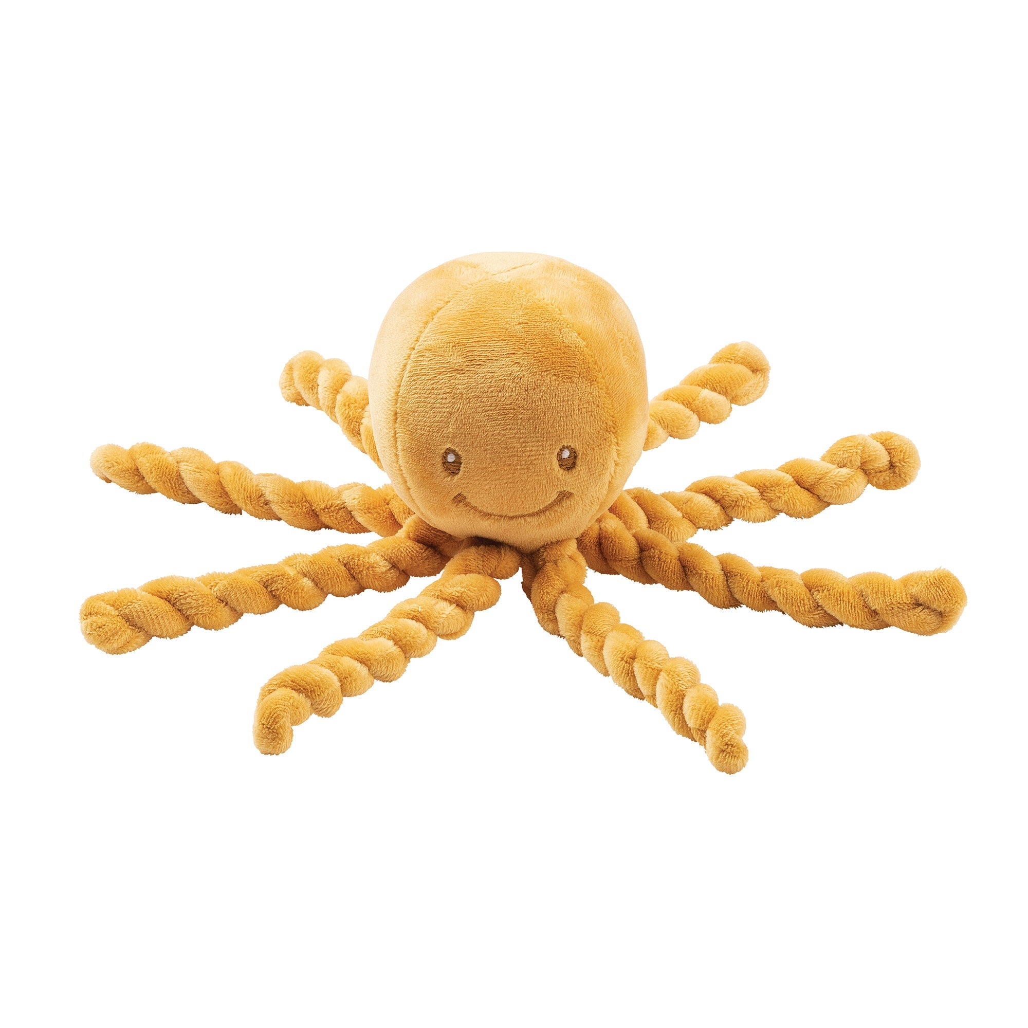 poulpe ocre